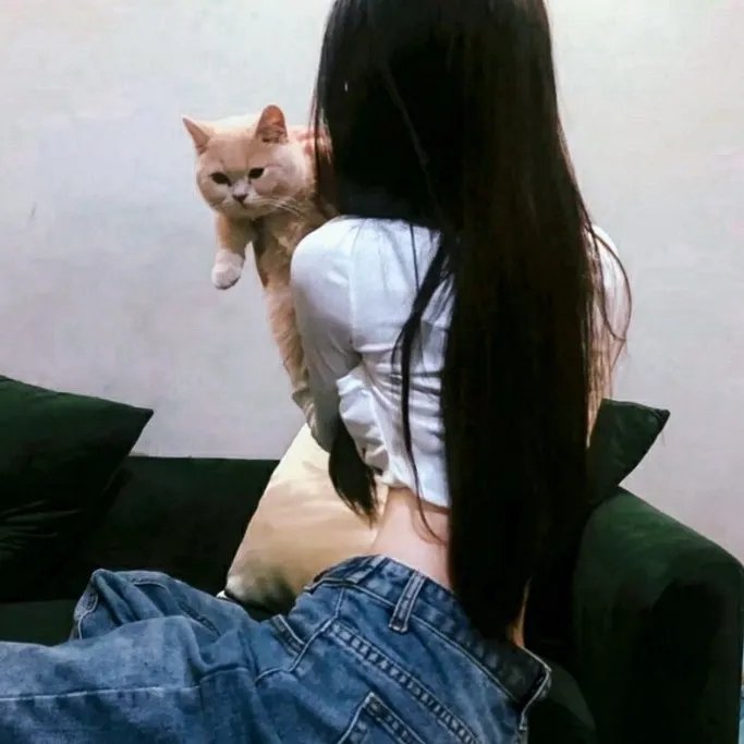 加布好老师第三季