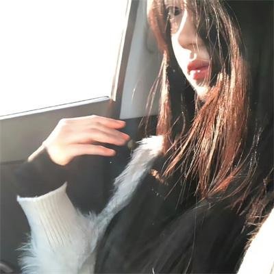 疯狂的狮王